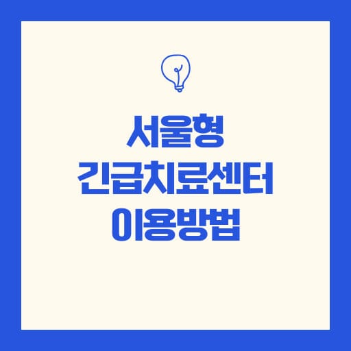 서울형 긴급치료센터 이용방법